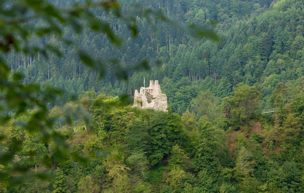 Hotel Winterhaldenhof Schenkenzell Esterno foto